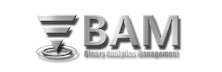 BAM Fintech